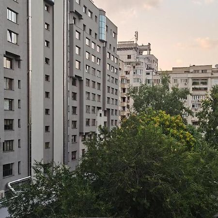 Peaceful Loft Daire Bükreş Dış mekan fotoğraf